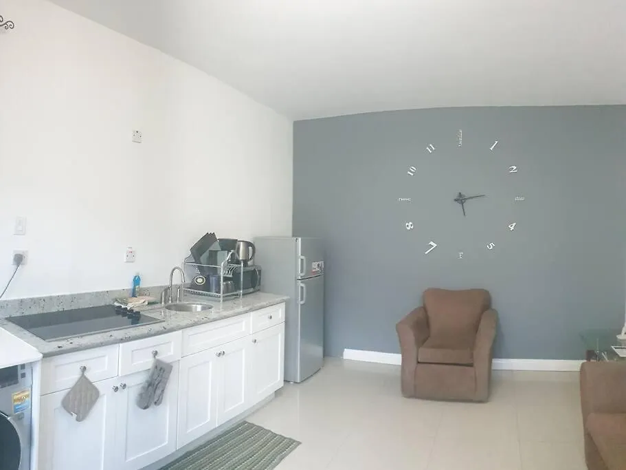 Harloe'S Place Apartment Kingston